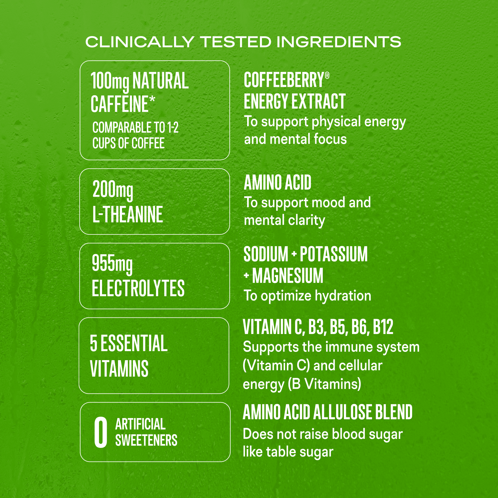 Sugar-Free Energy Fruity Bundle - Essential Daily Mix